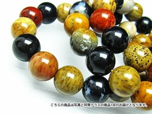 誠安◆超レア最高級超美品天然木化石ブレスレット 15mm [T798-4]