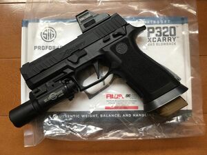 SIG AIR P320 XCARRY GBB 