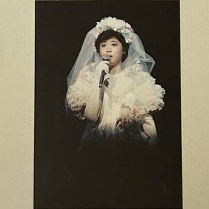 松田聖子　生写真　Ａ　当時物　昭和　80年代　アイドル