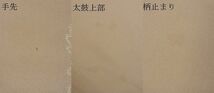 平和屋2□極上　龍村晋謹製　六通太鼓柄袋帯　瓦灯富貴錦　金糸　逸品　3kh947_画像10