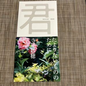 寺尾紗穂★自主製作盤等CD2枚セット★限定盤