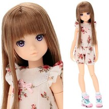 新品未使用●極美品●フルセット●超貴重レア●CCSgirl 14NY ruruko●petworks momokodoll momoko doll リカちゃんキャッスル モモコドール_画像1