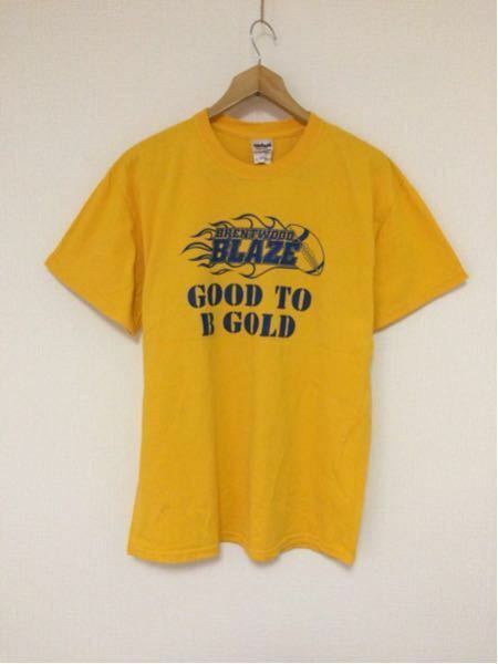 BRENTWOOD BLAZE/GILDAN(USA)ビンテージTシャツ