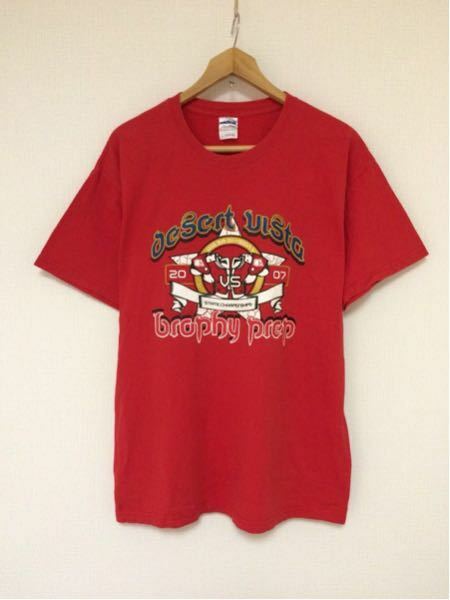 DesertVista/GILDAN(USA)ビンテージTシャツ