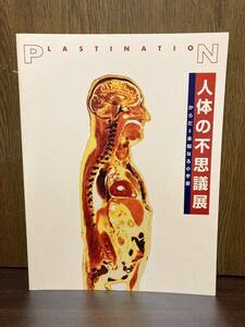 人体の不思議展 からだ 未知なる小宇宙 人間 ヒューマン ヒト 人体 身体 人 体 脳 骨 骸骨 心臓 臓器 神経 PLASTINATION リアル 資料