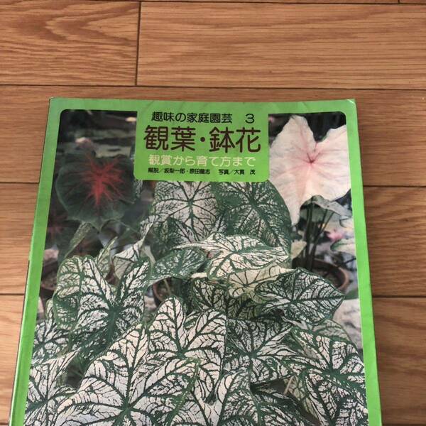 趣味の家庭園芸3 観葉・鉢花　観賞から育て方まで　解説/板梨一郎、原田龍志　写真/大貫茂　カラーページ　リサイクル本　除籍本