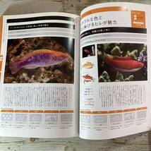 SA14-177 ■ コーラルフィッシュ 別冊ムック　海水魚の飼い方が分かる本 飼いやすい魚編 ■ それぞれ違う飼い方を知ろう 【同梱不可】_画像8