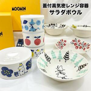 【未使用】MOOMIN ムーミン ボウル4点 直径 約16cm 蓋付高気密レンジ容器 4点 直径約9cm 約12.5cm リトルミイ スナフキン yamaka （C1031）