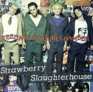 【輸入盤】Ｔｅｅｎａｇｅ　Ｔｏｒｔｕｒｅ　Ｃｈａｍｂｅｒ／ＳｔｒａｗｂｅｒｒｙＳｌａｕｇｈｔｅｒｈｏｕｓｅ