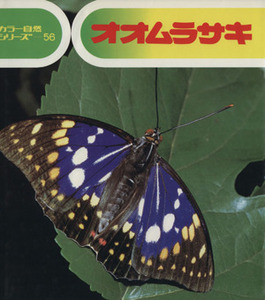 オオムラサキ カラー自然シリーズ５６／小田英智(著者)