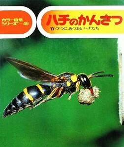 ハチのかんさつ カラー自然シリーズ４９／小田英智【著】