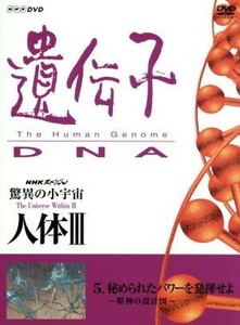 ＮＨＫスペシャル　驚異の小宇宙　人体III　ｖｏｌ．５秘められたパワーを発揮せよ～精神の設計図～／谷川俊太郎,大滝秀治,山根基世