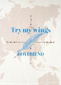 Ｔｒｙ　ｍｙ　ｗｉｎｇｓ（初回限定盤）（ＣＤ＋ＤＶＤ）／ＢＯＹＦＲＩＥＮＤ