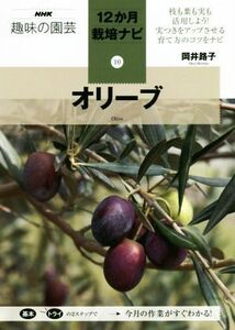 趣味の園芸　オリーブ 枝も葉も実も活用しよう！実つきをアップさせる育て方のコツをナビ ＮＨＫ趣味の園芸　１２か月栽培ナビ１０／岡井路