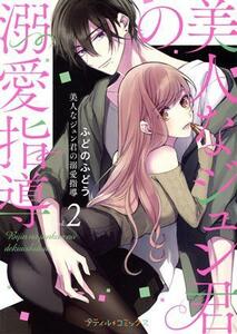 美人なジュン君の溺愛指導(ｖｏｌ．２) Ｐｅｔｉｒ　Ｃ／ふどのふどう(著者)