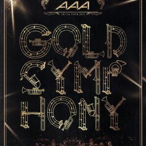 ＡＡＡ ＡＲＥＮＡ ＴＯＵＲ ２０１４ －Ｇｏｌｄ Ｓｙｍｐｈｏｎｙ－／ＡＡＡの画像1