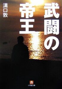 Teoi Shogakukan Bunko / Atsushi Mizoguchi [Atsushi]