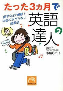 たった３ヵ月で英語の達人 留学なんて無駄！お金のかからない速習法 祥伝社黄金文庫／志緒野マリ(著者)