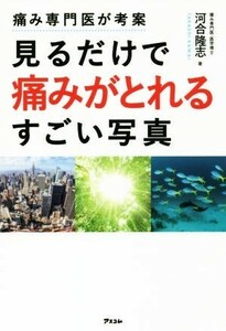 痛み専門医が考案　見るだけで痛みがとれるすごい写真 健康プレミアムシリーズ／河合隆志(著者)