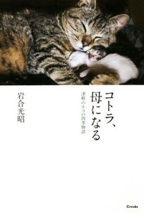 コトラ、母になる　津軽のネコの四季物語／岩合光昭(著者)