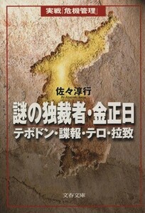 謎の独裁者・金正日 テポドン・諜報・テロ・拉致 文春文庫／佐々淳行(著者)