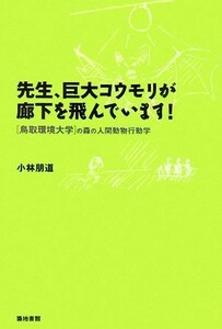 先生、巨大コウモリが廊下を飛んでいます！ 鳥取環境大学の森の人間動物行動学／小林朋道【著】