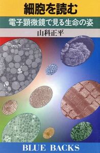 細胞を読む ブルーバックス／山科正平(著者)