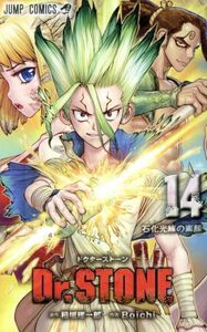 Ｄｒ．ＳＴＯＮＥ(１４) ジャンプＣ／Ｂｏｉｃｈｉ(著者),稲垣理一郎