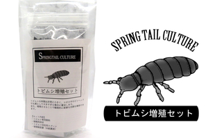 トビムシ増殖セット　（専用床材+専用飼料+解説書）　餌　エサ　微生物　上陸　カエル　ヤドクガエル　パルダリウム