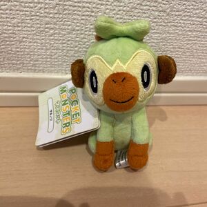 ポケモン　ぬいぐるみ　マスコット　キーホルダー　サルノリ　ポケットモンスター