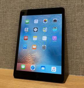 【動作確認済】iPad mini Wi-Fi 32GB ブラック MD529J/A