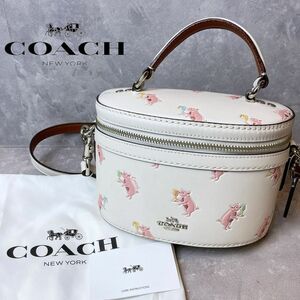 COACH コーチ　レザー　ショルダーバッグ　38601 ハンドバッグ　ホワイト　マルチカラー　アニマル柄　