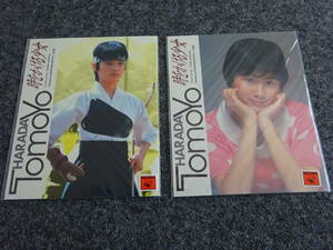  Harada Tomoyo hour .... young lady sticker 2 sheets A102-6