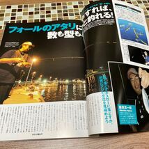 アジング超入門２　SALT WATER 地球丸 最新アジング攻略法　_画像5