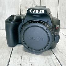 キャノン イオス キス Canon EOS Kiss X10 一眼レフ デジタルカメラ イチデジ レンズ ストラップ カメラ 【15862_画像2