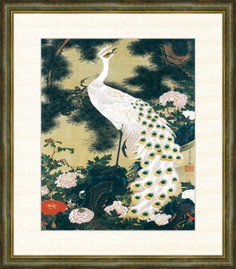 Art hand Auction Cuadro enmarcado con impresión digital de alta definición Oimatsu Peacock de Ito Jakuchu F8, obra de arte, imprimir, otros