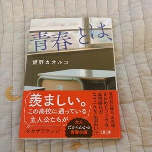 青春とは、 （文春文庫　ひ１４－５） 姫野カオルコ／著