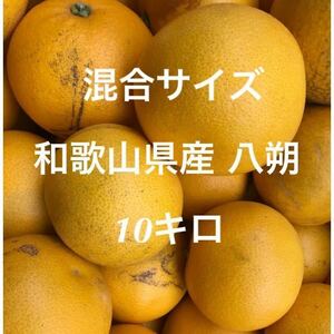 無農薬、ノーワックス★和歌山県産 混合 八朔 はっさく S〜3Lサイズ 10キロ 家庭用