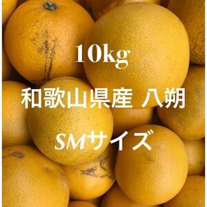 無農薬、ノーワックス★和歌山県産 小玉サイズ 八朔 はっさく SMサイズ 10キロ 家庭用