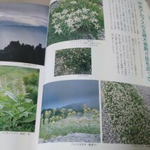 趣味の山野草　1989年7月　中央アルプス花の山旅 水生植物_画像3