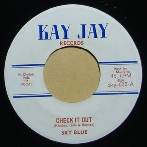 Funk◆USオリジ◆マイナーレーベル◆Sky Blue - Check It Out◆Kay Jay Records / Sky-622◆7inch/7インチ/試聴/超音波洗浄