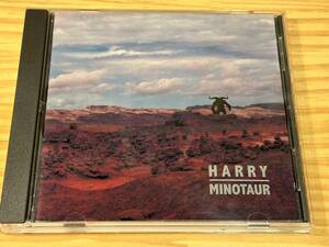 HARRY / 村越弘明 / MINOTAUR / 中古美品 ！！