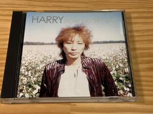 HARRY / 村越弘明 / HOW DO WE LIVE / 中古美品 ！！