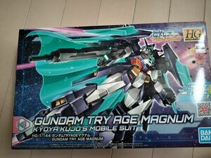 HGBD:R ガンダムビルドダイバーズRe:RISE ガンダムTRYAGEマグナム未開封