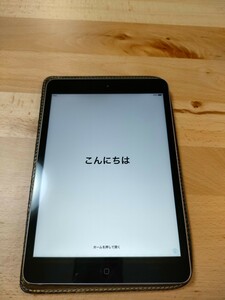 iPad mini 2 (おまけで純正ケーブルと革製ケース付)