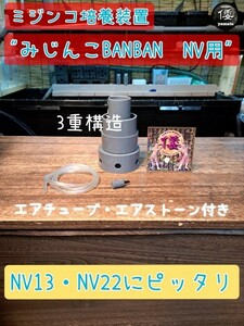 【倭めだか】 “みじんこBANBAN NV用” タイリクミジンコ タマミジンコ オオミジンコ 培養 装置 エアリフト式 NV13 NV22 メダカ稚魚 生餌 