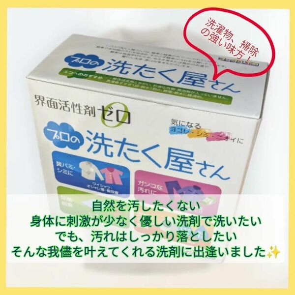 酵素洗剤　プロの洗たく屋さん　1kg ロングパルプ