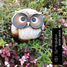 信楽焼 ふくろう 陶器 フクロウ 置物 かわいい おしゃれ ギフト 玄関 インテリア 庭 新築祝 開店祝 縁起物 5号首かしげ(白) fu-0157_画像1