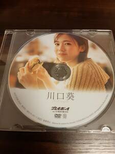 川口葵 DVD プレイボーイ no.10 特別付録【ディスクのみ】