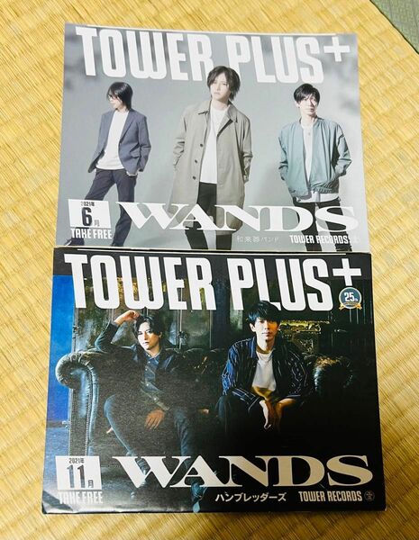 雑誌　TOWER PLUS+ WANDS表紙　2冊